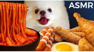 🐶 АСМР Мукбанг — шпиц ест корейские вкусности  | Хруст, жевание, виляние хвостом