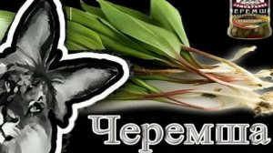 самая крутая игра в мире побег от черемшы