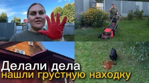 Дела вчерашнего дня. И неожиданная грустная находка