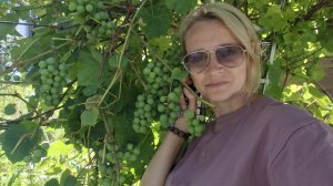 09.08.26 Приехали на 67 участок, быстрый обзор