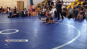 В селе Хучни прошел II Республиканский турнир по вольной борьбе