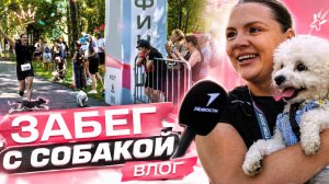 наш первый забег с собакой. как это было? подарки, (неожиданно!) два интервью и Булочка на руках