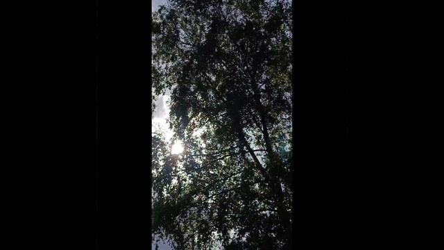 шикарная погода