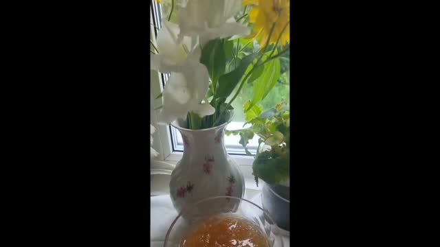 Варю  ВАРЕНЬЕ ИЗ ЯБЛОК 🍏🍏🍏