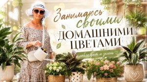Официально Я. 10 августа 2026 г.