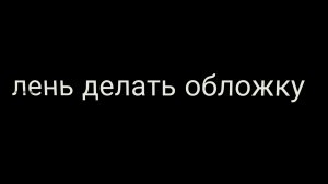 разоблачение на кота 48 к