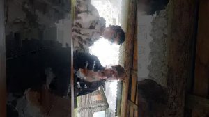 про деревенскую жизнь