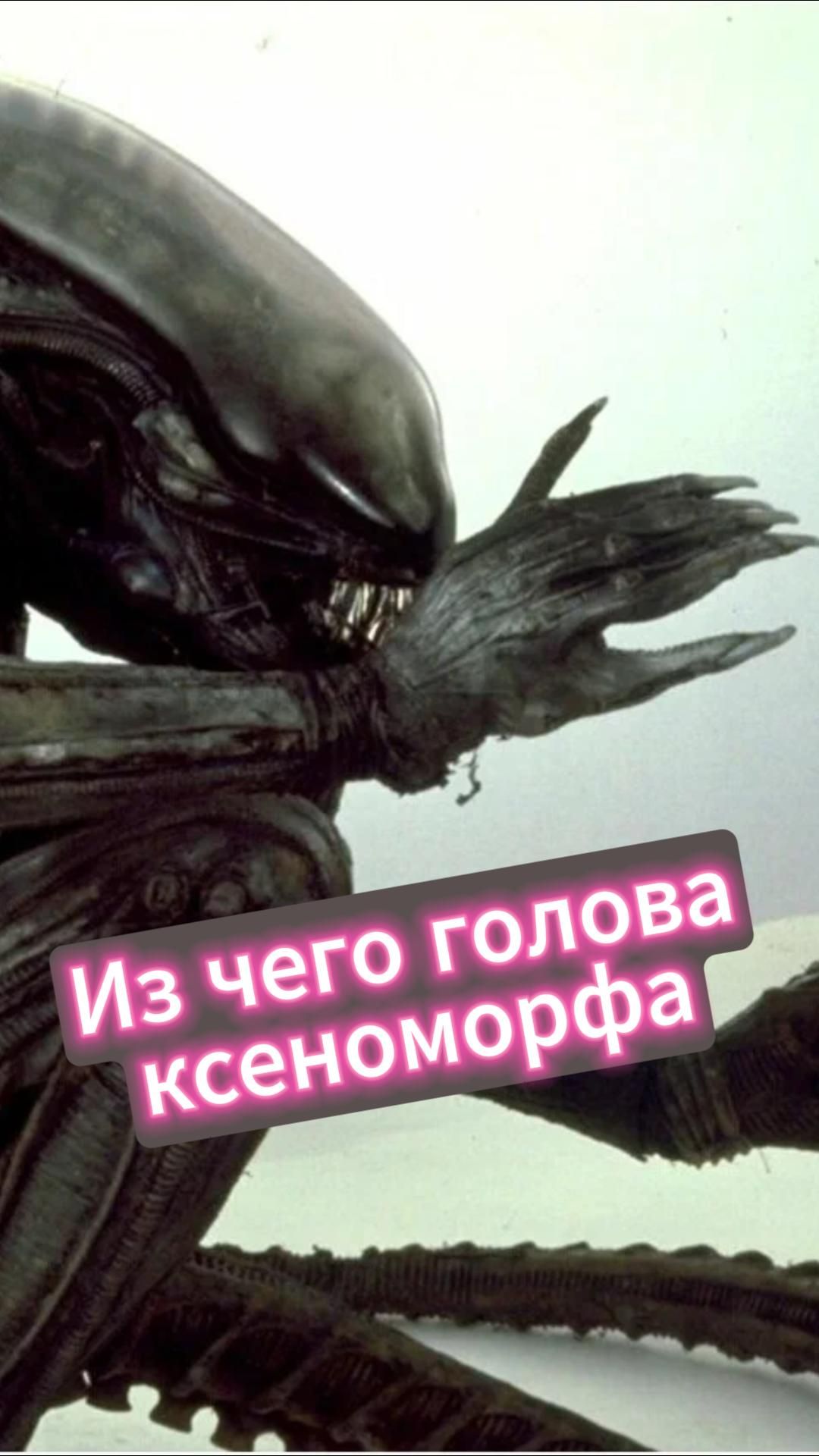 Из чего сделана голова Чужого