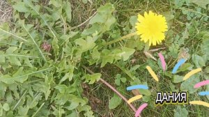 **Я ВСЕ ЕЩЕ ЛЮБЛЮ ТЕБЯ😘❤**.ГЛАВНОЕ ЛЮБОВЬ А ОСТАЛЬНОЕ ПРОСТО СУЕТА. ЛЮБИТЕ И БУДЬТЕ СЧАСТЛИВЫ...