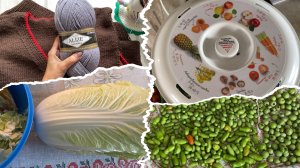 Ура! Она живая!🙏 Как я спасаю помидоры👍 Я вас обманула!🤪Жилет готов!