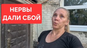 Закончились продукты/Грунтовка стен/МЫШИ🐹09-10.08.2026