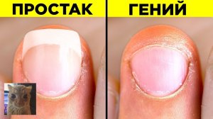 [WTFакт] Привычки, Характерные Для Гениев