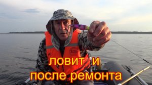Любимый воблер снова  в деле на Вселуге.