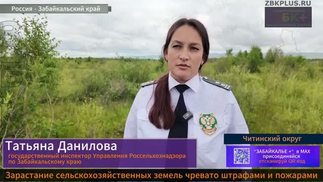 Россельхознадзор и МЧС предупреждают: зарастание сельхозземель приводит к штрафам и пожарам