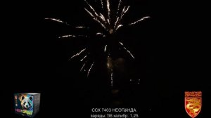 ССК 7403 Батарея салютов НЕОПАНДА (1,25*36) ЗД