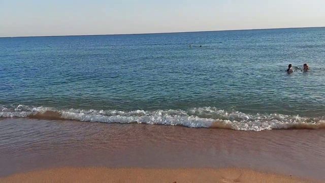 Ветер прохладный, греемся в Чёрном море. Чудесная Благовещенская.