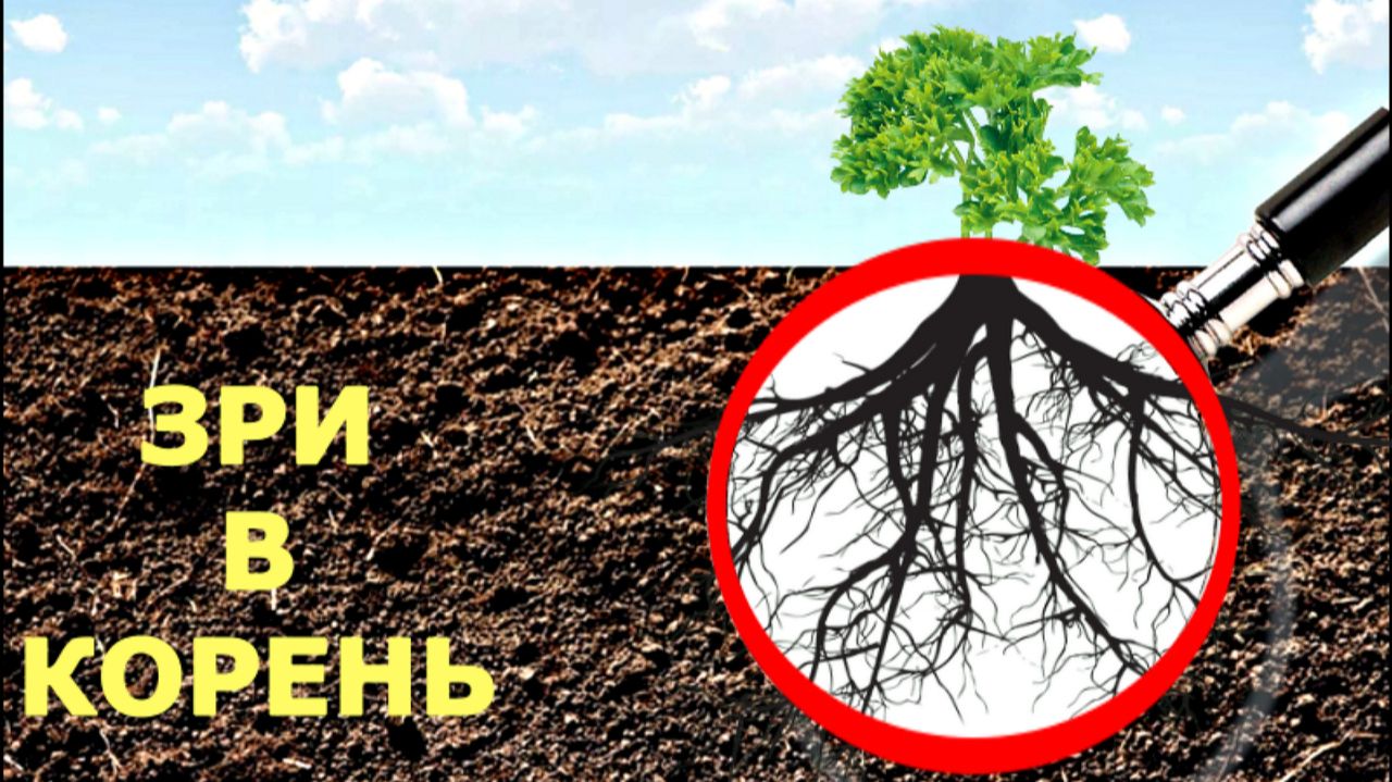 Настоящая ЖИВАЯ почва. РИЗОСФЕРА без мистики.
