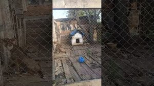 Разговор о наболевшем