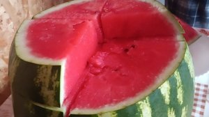 11-08-2026 Какой вкусный 🍉 !!!Полакомились и поболтали.