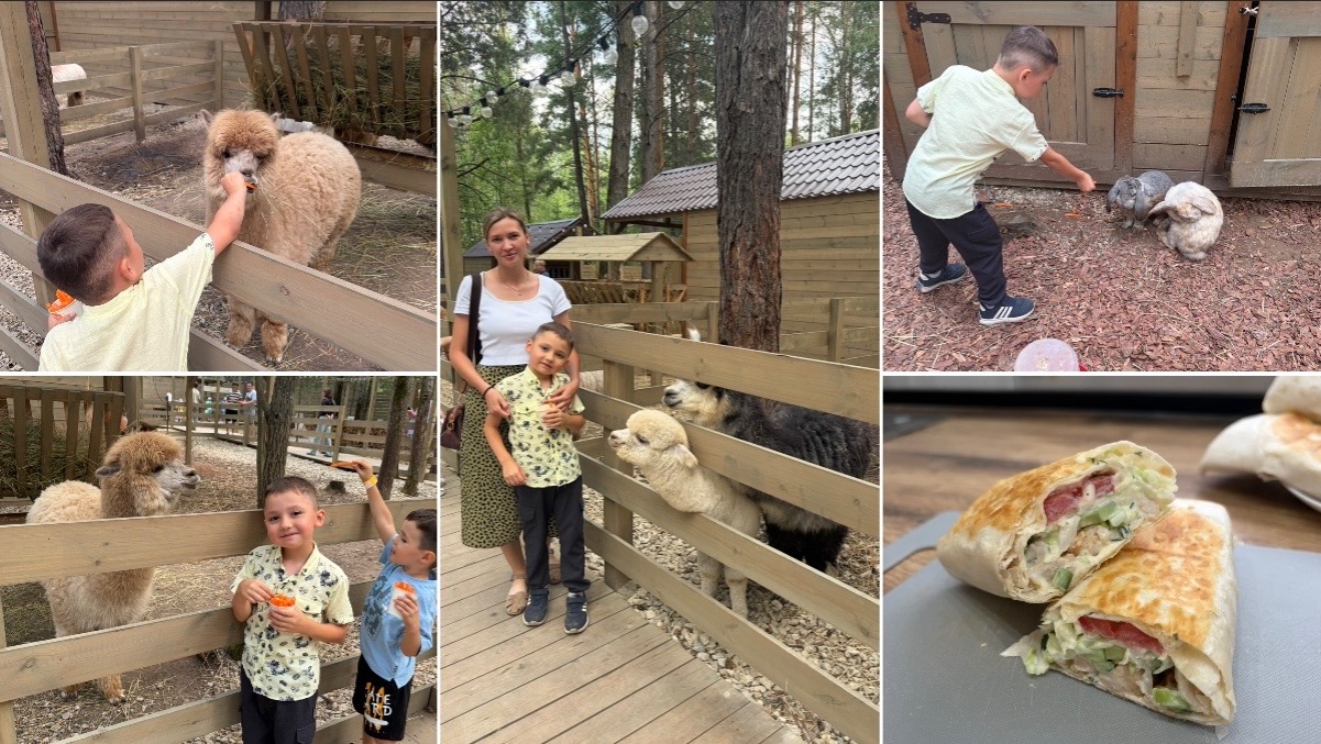 Съездили в соседний город к Альпакам😍 делаем домашнюю шаурму🔥