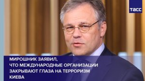 Мирошник заявил,  что международные организации закрывают глаза на терроризм Киева