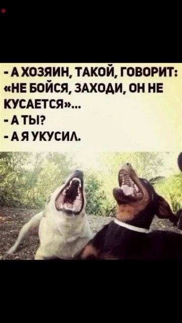 озвучиваю мемы.