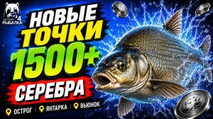 🤑 ТОП-3 ТОЧКИ ФАРМА и РАЗДАЧИ ТРОФОВ РР4 (11.08)! СВОДКА по ВОДОЕМАМ! ОСТРОГ • ЯНТАРНОЕ • ВЬЮНОК