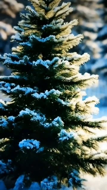 Ёлочки зелёные иголочки! Автор Резникова Юлия.