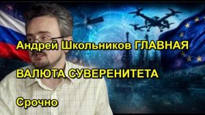 Андрей Школьников ГЛАВНАЯ ВАЛЮТА СУВЕРЕНИТЕТА Срочно
