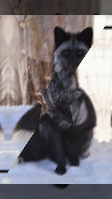 э
