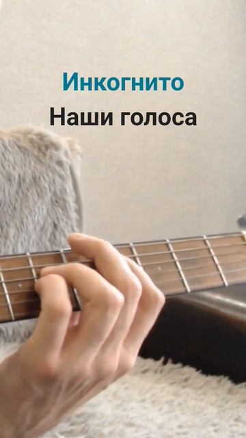 Инкогнито - Наши голоса [кавер]