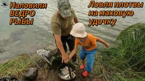 Вот это КЛЕВ❗ Наловили ВЕДРО рыбы❗ Ловим чебака на ПОПЛАВОЧНУЮ удочку❗