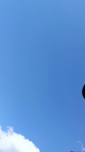 гуляем. спасибо за лайки и подписки