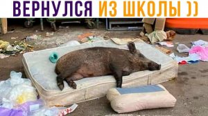 Когда вернулся домой))) Приколы