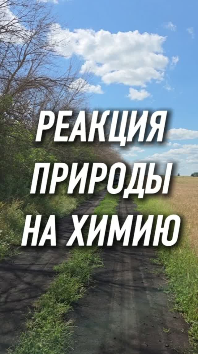 Последствия использования химии на примере окружающей среды #AUM #YogaFerma #сельскоехозяйство