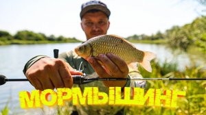 МОРМЫШИНГ на реке 👍 КАРАСИ гнут СПИННИНГ 💪💪💪