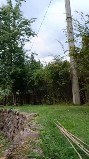 СТРОИМ ДОМ