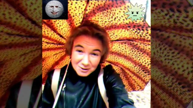 ДОЖДЬ