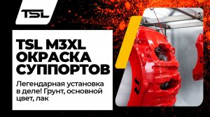 Окраска суппортов легендарной установкой порошкового окрашивания TSL M3XL. Грунт,основной цвет, лак.