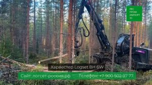 Харвестер LOGSET 8H 6W_купить новый в России
