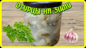 ЧТО СДЕЛАТЬ С ПЕРЕРОСШИМИ ОГУРЦАМИ? Быстро и Вкусно Салат на Зиму