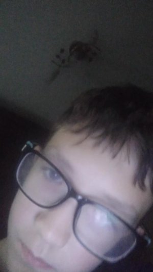 пр