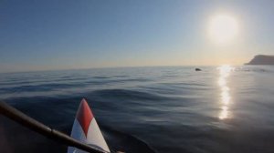 Каяк (Surfski) Katana. Дельфины Балаклавы. Обзор лодки от КРЫМ - КАЯК.РФ