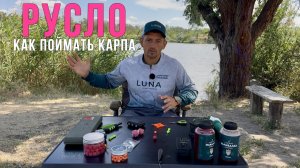 КАК ПОЙМАТЬ МНОГО КАРПА В РУСЛЕ! Рыбалка на карпа. Карпфишинг