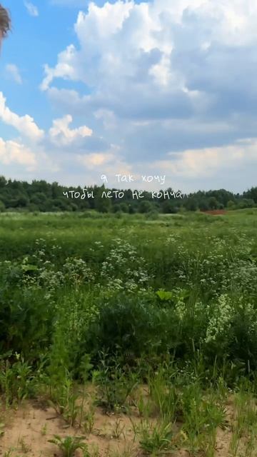 Ставьте лайк, если согласны 😊
