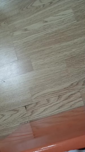 сьлс