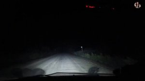 А мы опять в деревню По новой дороге Встретили ночных птиц