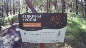 Ролик от Еретнова В.Б. Летом наш парк превращается в зеленый остров покоя.