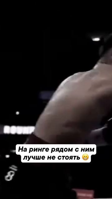 Бивол всегда в порядке 🔥