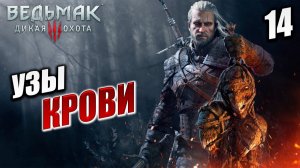 УЗЫ КРОВИ | Ведьмак 3 / The Witcher 3: Wild Hunt | #14